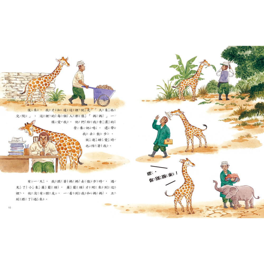✨現貨✨《康軒圖書》愛的故事‧知識繪本4：我最好的大象朋友⭐️童書團購批發⭐️-細節圖6