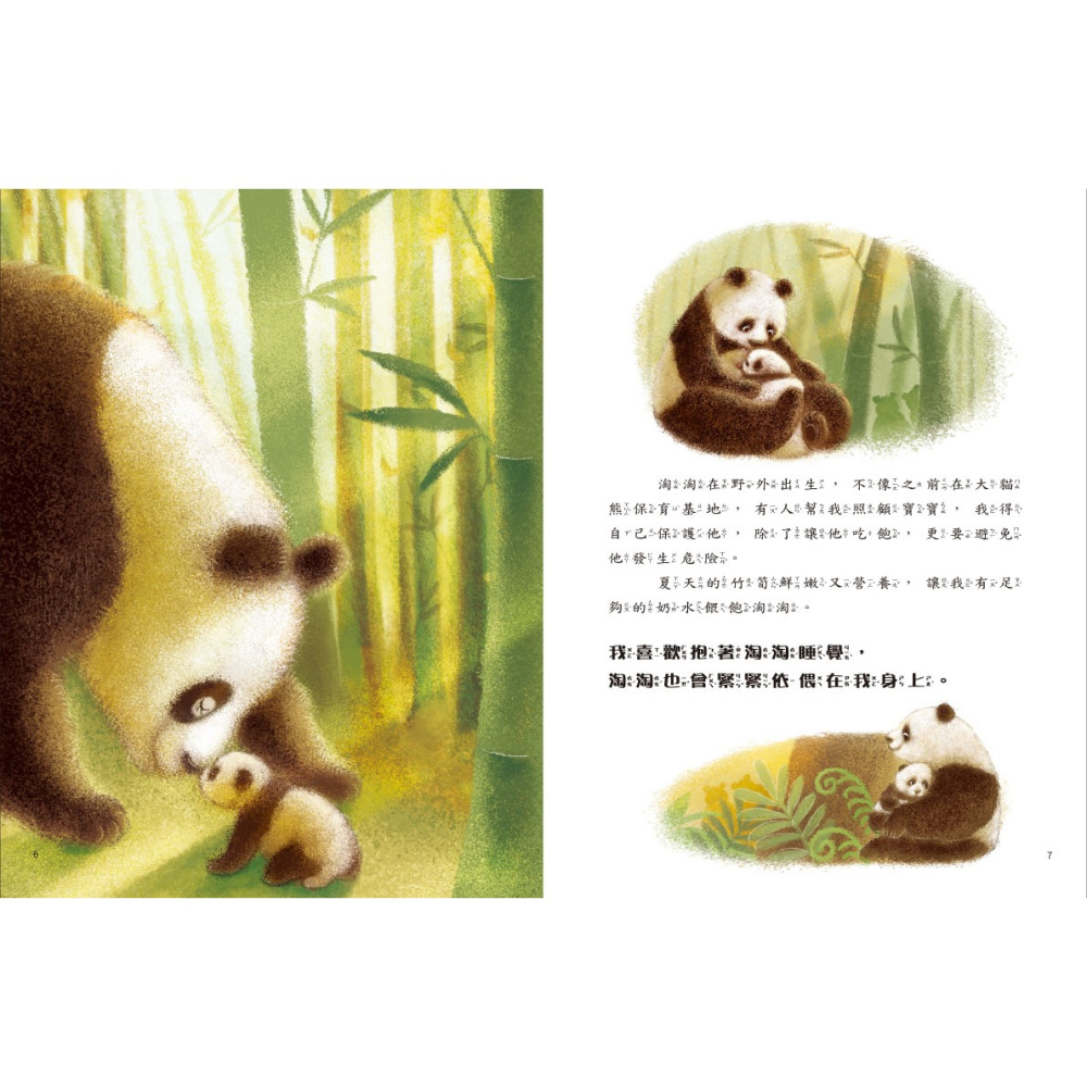 ✨現貨✨《康軒圖書》愛的故事‧知識繪本5：我的神祕保母⭐️童書團購批發⭐️-細節圖5