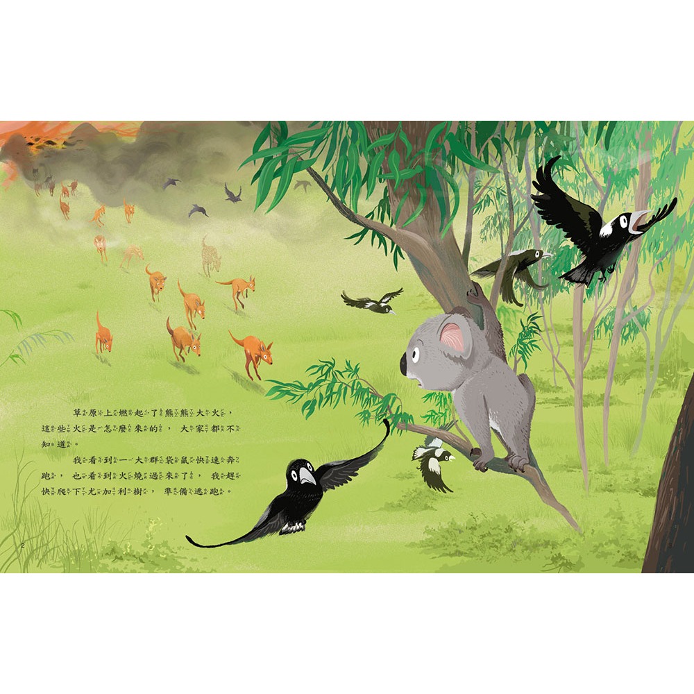 ✨現貨✨《康軒圖書》愛的故事‧知識繪本8：對你說一百次謝謝⭐️童書團購批發⭐️-細節圖4