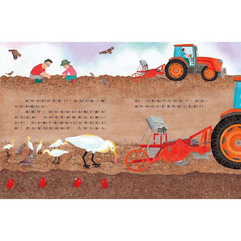 ✨現貨✨《康軒圖書》愛的故事‧知識繪本9：藏在紅豆裡的愛⭐️童書團購批發⭐️-細節圖5