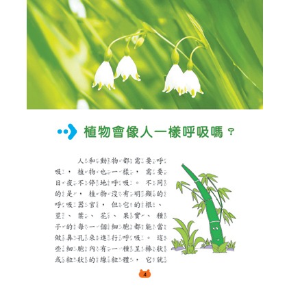 ✨現貨✨《風車》植物與地球：新版兒童十萬個為什麼⭐️童書團購批發⭐️-細節圖2