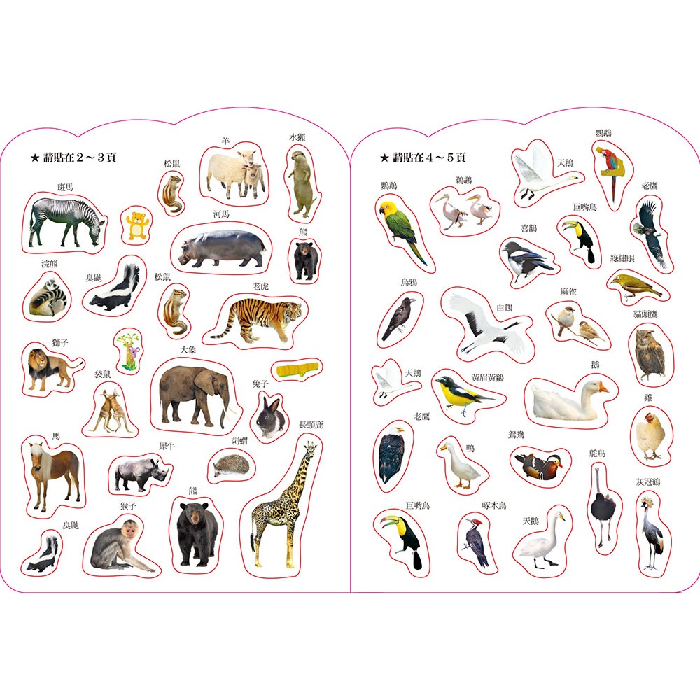 ✨現貨✨《風車》動物：IQEQ200張貼紙書⭐️童書團購批發⭐️-細節圖5