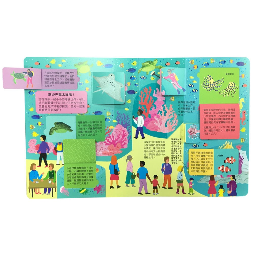 ✨現貨✨《幼福》STEAM全知識翻翻書：逛逛水族館【附贈親子共讀引導手冊】⭐️童書團購批發⭐️-細節圖6