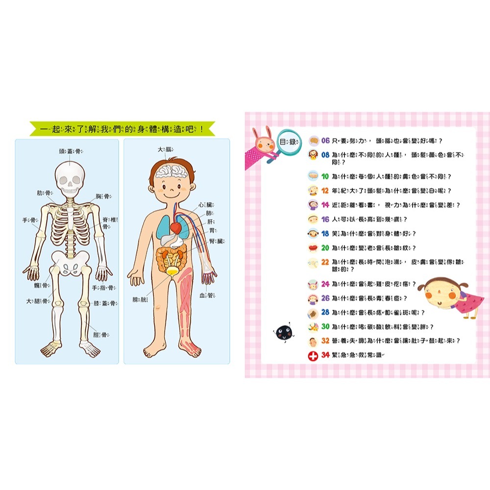 ✨現貨✨《幼福》我的身體變變變【身體成長的變化】⭐️童書團購批發⭐️-細節圖3