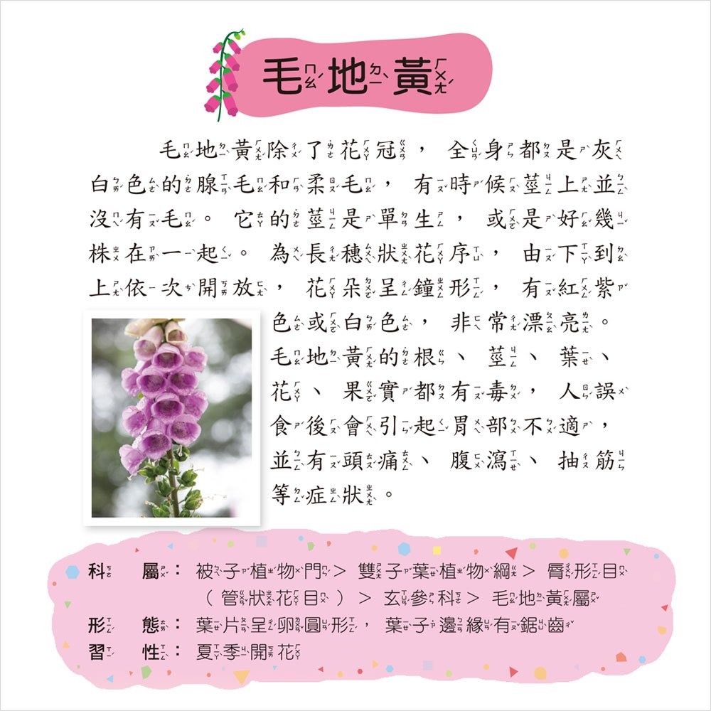 ✨現貨✨《幼福》植物小百科⭐️童書團購批發⭐️-細節圖4