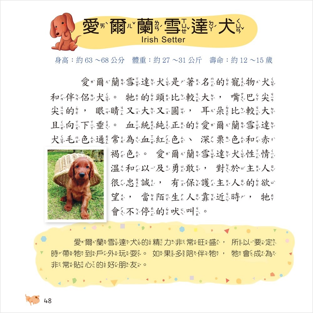 ✨現貨✨《幼福》狗狗小百科⭐️童書團購批發⭐️-細節圖5