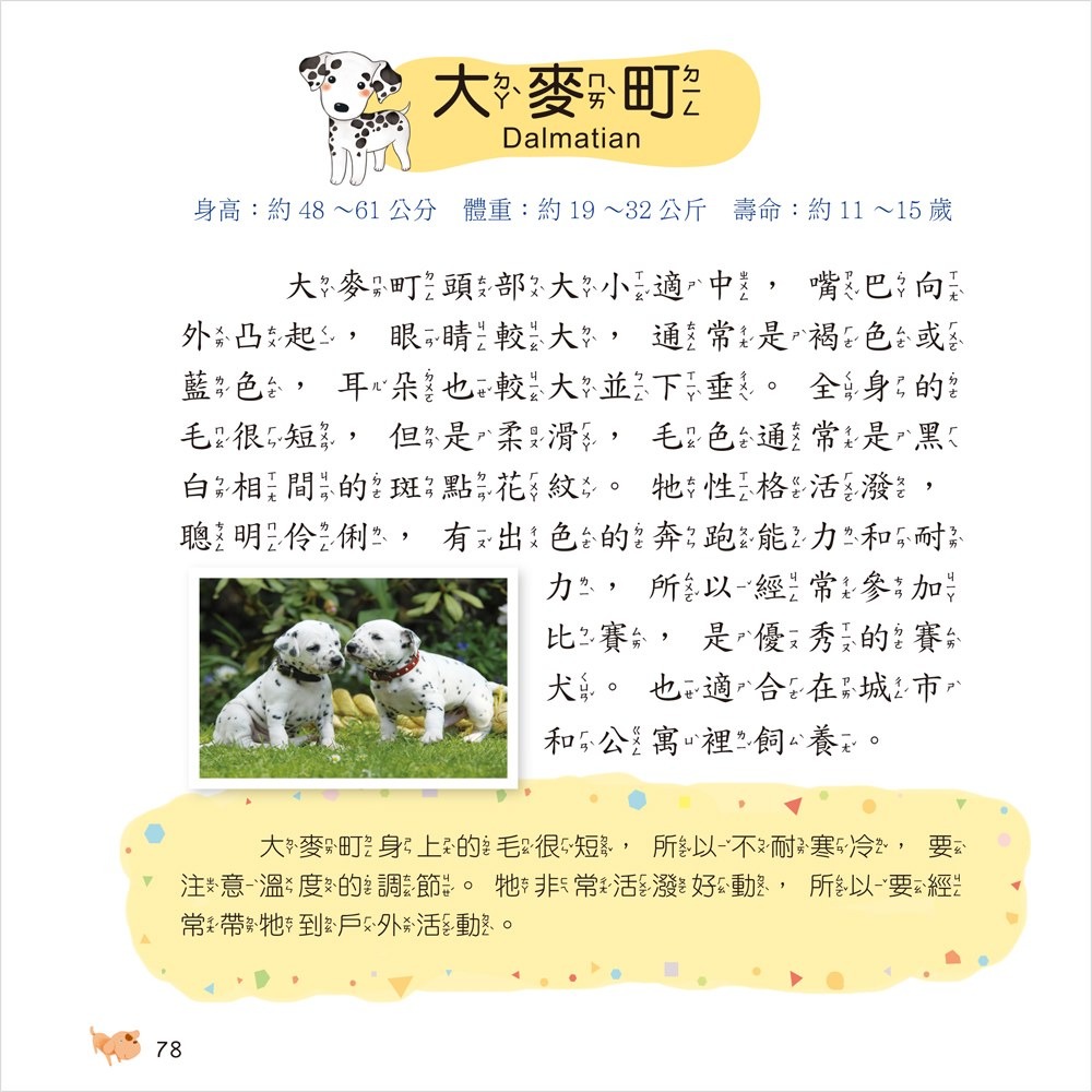 ✨現貨✨《幼福》狗狗小百科⭐️童書團購批發⭐️-細節圖6
