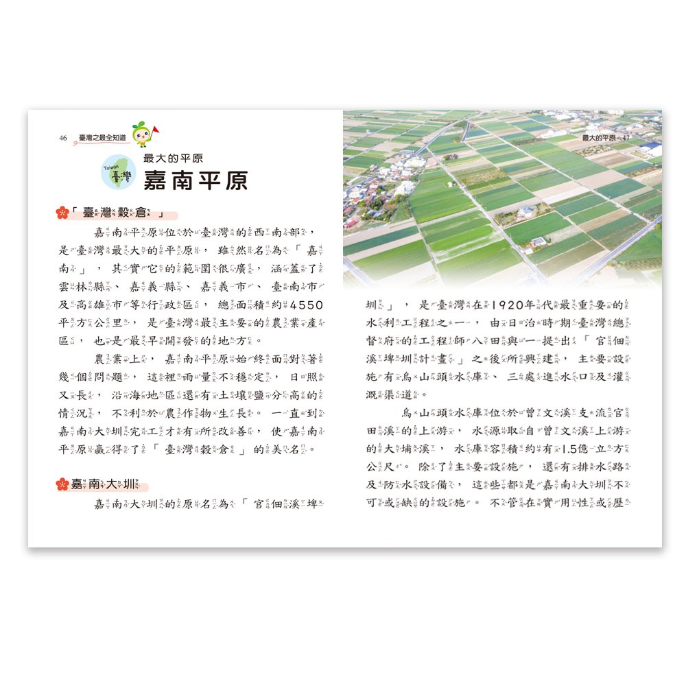 ✨現貨✨《世一》臺灣之最全知道⭐️童書團購批發⭐️-細節圖6
