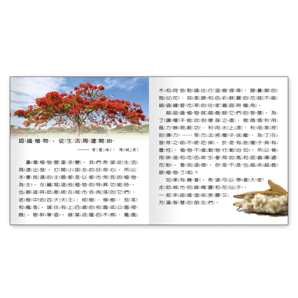 ✨現貨✨《世一》植物小百科(精)Q⭐️童書團購批發⭐️-細節圖3