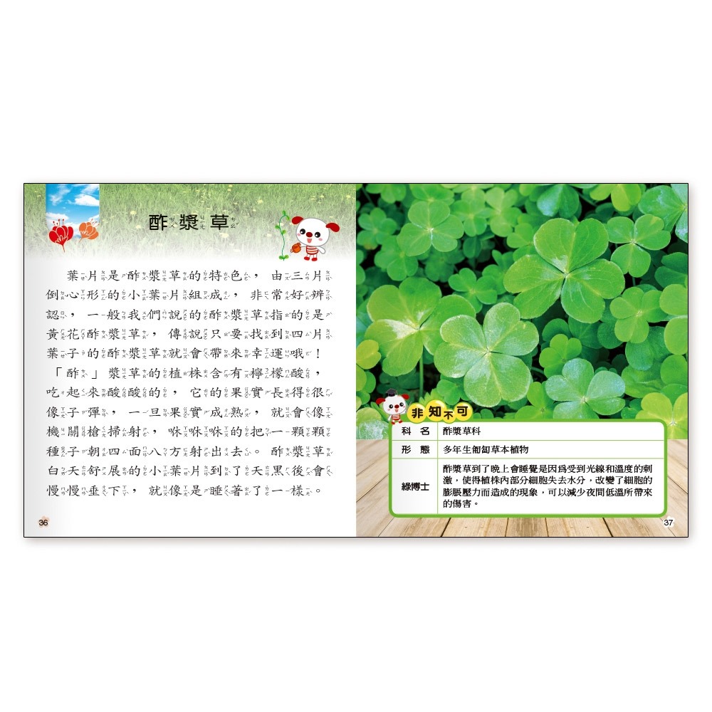 ✨現貨✨《世一》植物小百科(精)Q⭐️童書團購批發⭐️-細節圖6