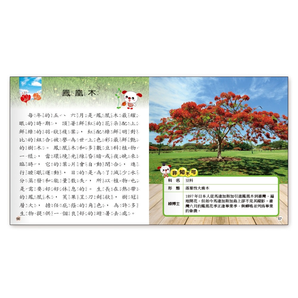 ✨現貨✨《世一》植物小百科(精)Q⭐️童書團購批發⭐️-細節圖7