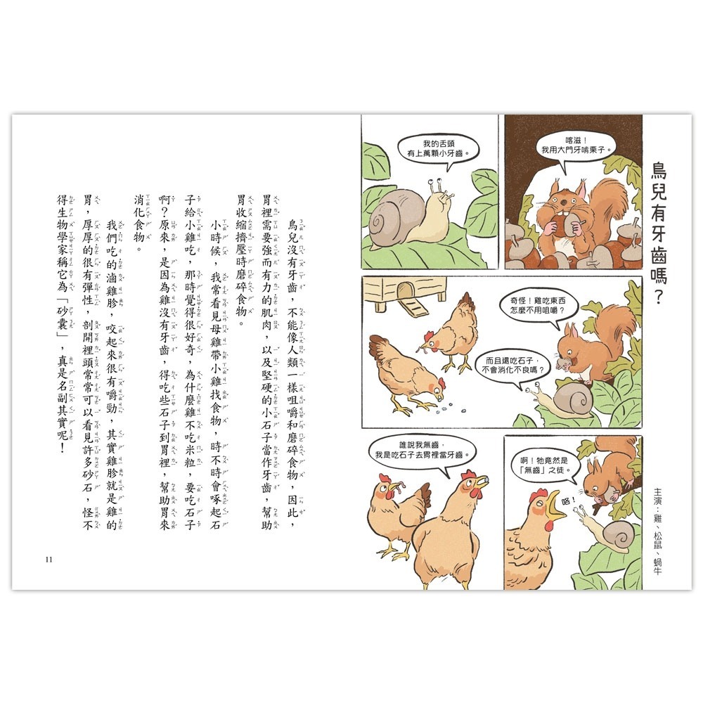 ✨現貨✨《信誼基金出版社》就愛鳥事一籮筐：鳥兒趣問妙答⭐️童書團購批發⭐️-細節圖3