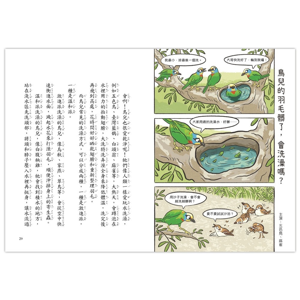 ✨現貨✨《信誼基金出版社》就愛鳥事一籮筐：鳥兒趣問妙答⭐️童書團購批發⭐️-細節圖4