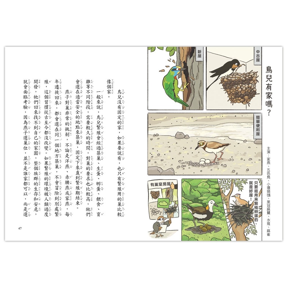 ✨現貨✨《信誼基金出版社》就愛鳥事一籮筐：鳥兒趣問妙答⭐️童書團購批發⭐️-細節圖5