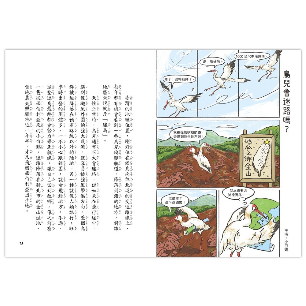 ✨現貨✨《信誼基金出版社》就愛鳥事一籮筐：鳥兒趣問妙答⭐️童書團購批發⭐️-細節圖6