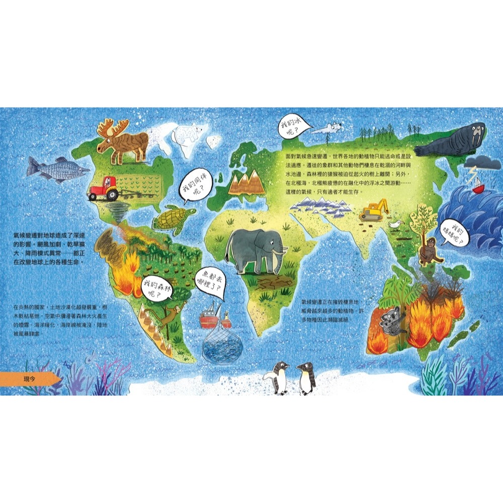 ✨現貨✨《小熊出版》氣候變遷：拯救地球的故事（SDGs主題選書）⭐️童書團購批發⭐️-細節圖8