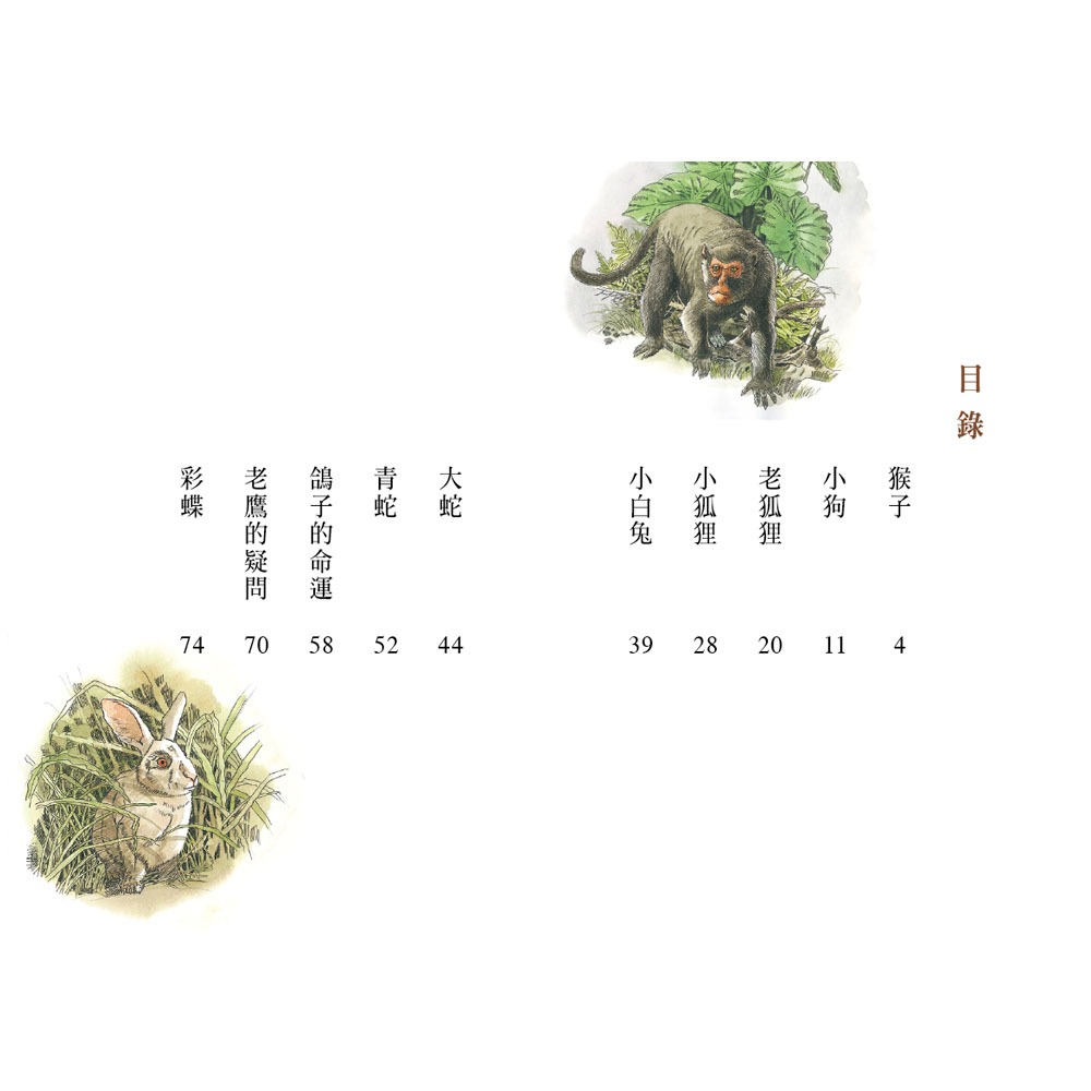 ✨現貨✨《信誼基金出版社》好好讀小學堂：山中的悄悄話（新版）⭐️童書團購批發⭐️-細節圖4