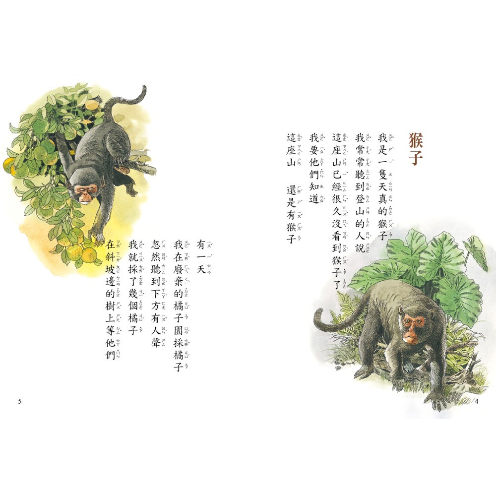 ✨現貨✨《信誼基金出版社》好好讀小學堂：山中的悄悄話（新版）⭐️童書團購批發⭐️-細節圖5