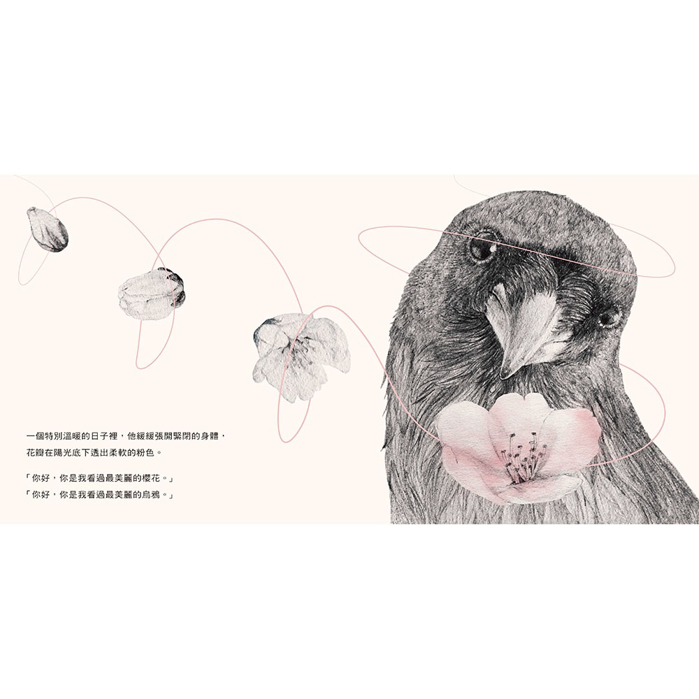 ✨現貨✨《信誼基金出版社》小黑與櫻花⭐️童書團購批發⭐️-細節圖4