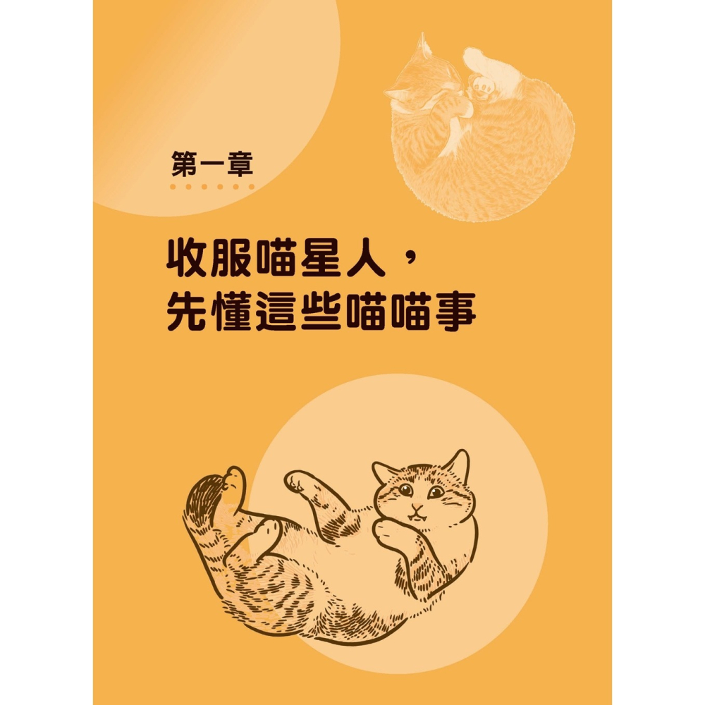 ✨現貨✨《任性出版》總有一天會養貓：你與幸福的距離，只差一隻貓。⭐️童書團購批發⭐️-細節圖6