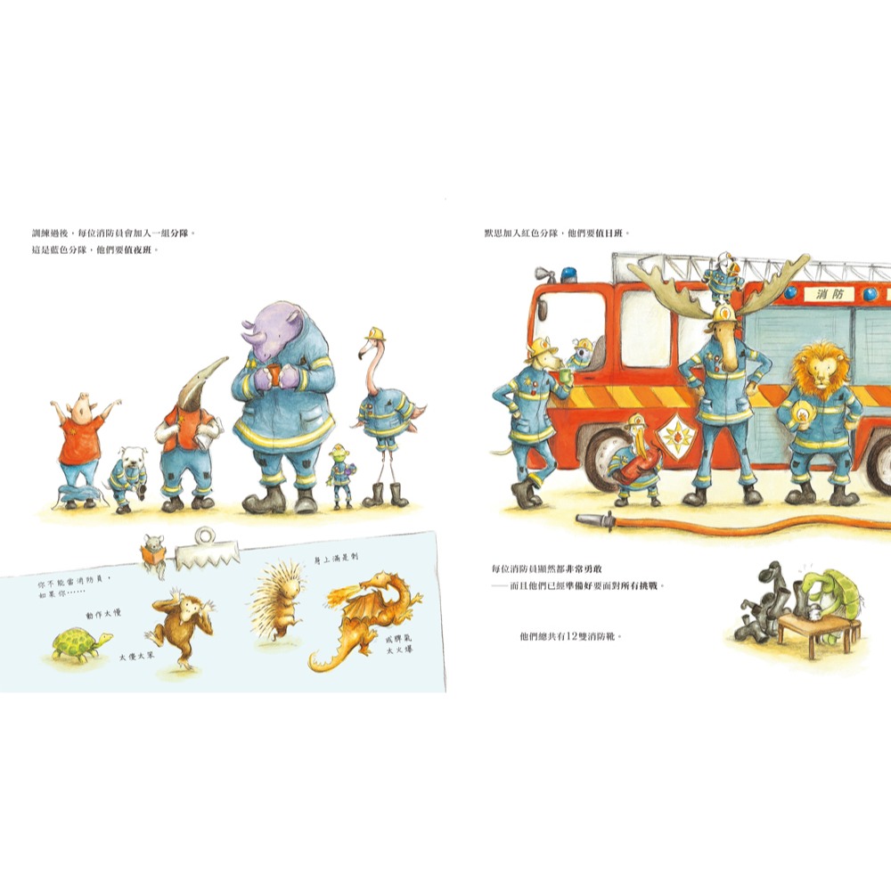 ✨現貨✨《小魯文化》跟著動物消防員過一天（二版）⭐️童書團購批發⭐️-細節圖6