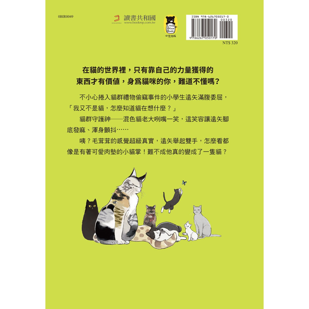 ✨現貨✨《小熊出版》神奇貓町事件簿1：貓群守護神生氣了！⭐️童書團購批發⭐️-細節圖3
