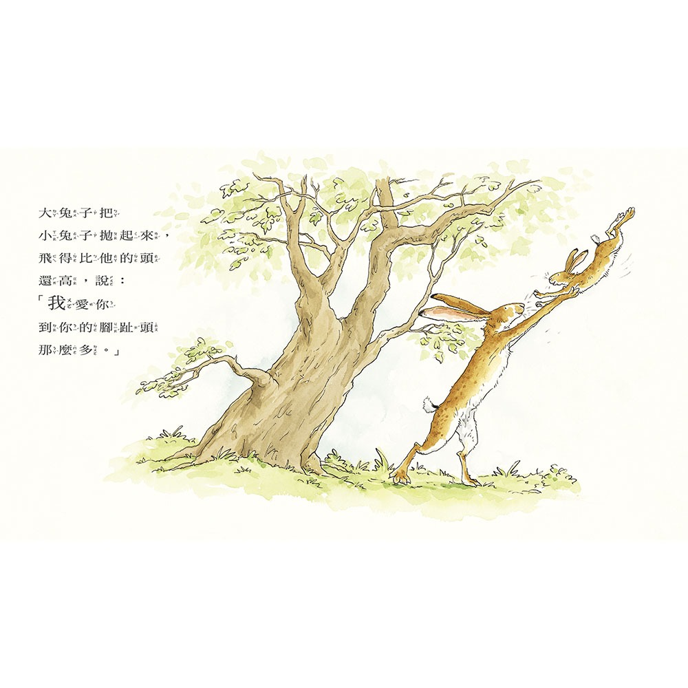 ✨現貨✨《上誼文化公司》猜猜我有多愛你（注音版）⭐️童書團購批發⭐️-細節圖4