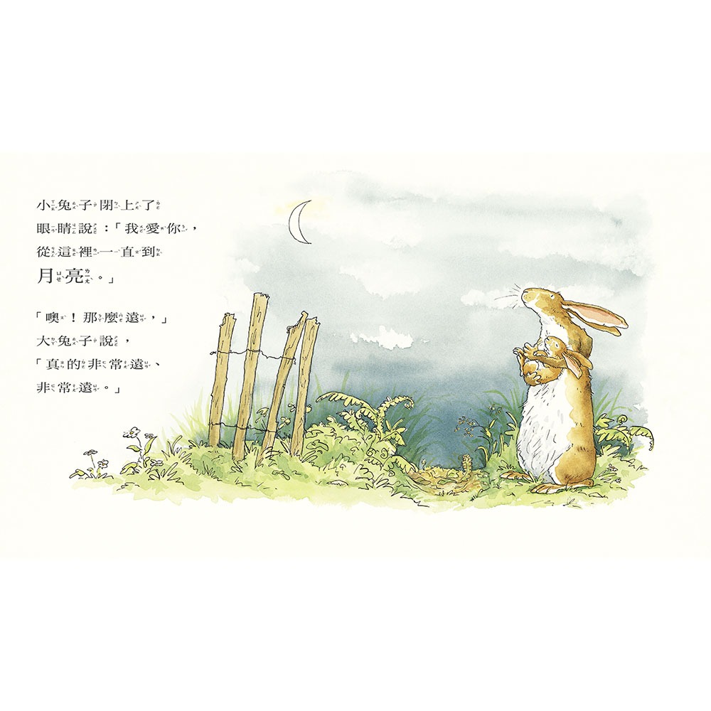 ✨現貨✨《上誼文化公司》猜猜我有多愛你（注音版）⭐️童書團購批發⭐️-細節圖5