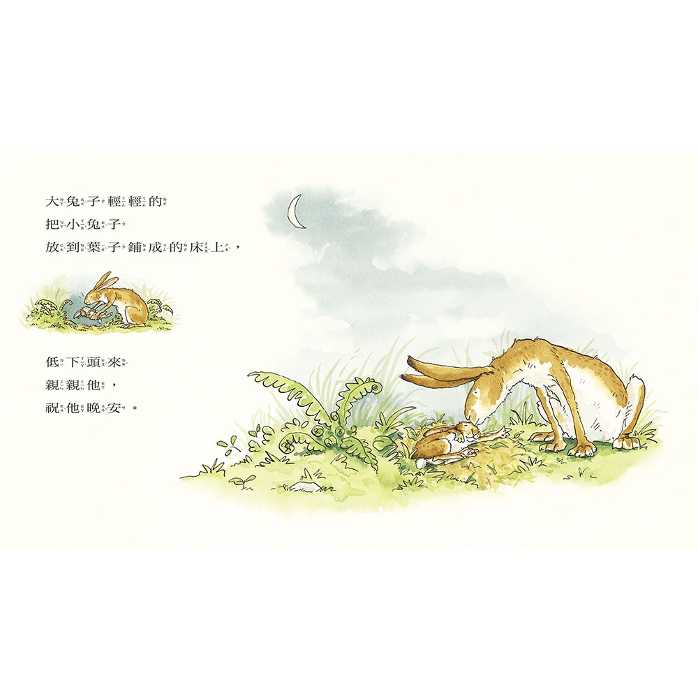✨現貨✨《上誼文化公司》猜猜我有多愛你（注音版）⭐️童書團購批發⭐️-細節圖6