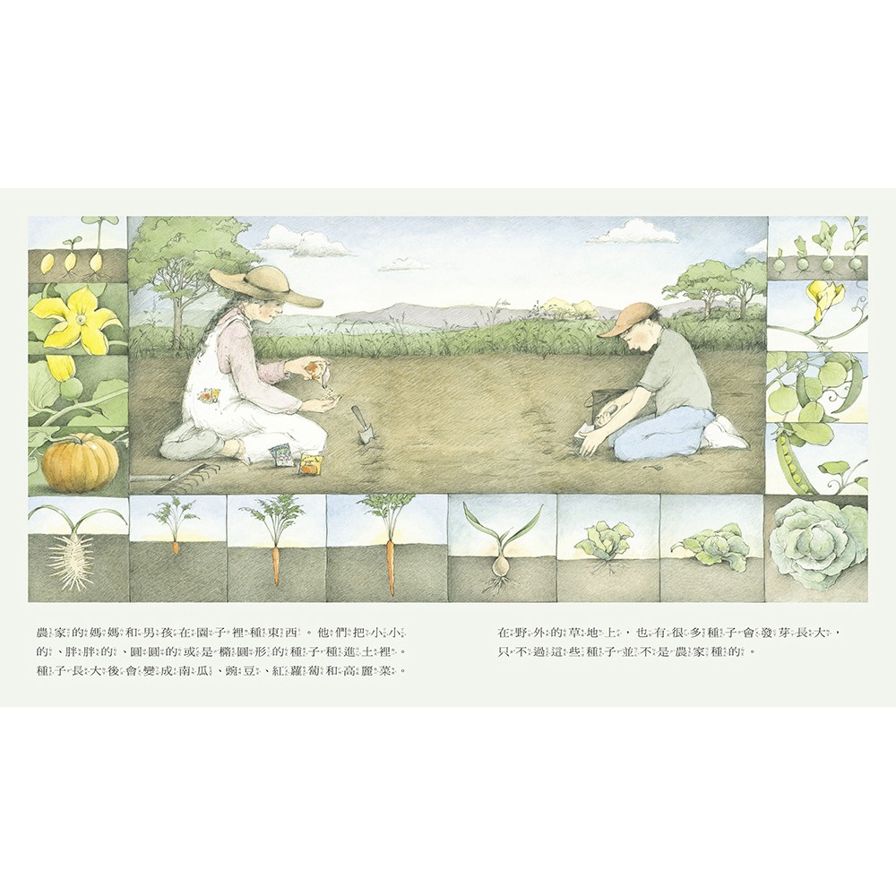 ✨現貨✨《上誼文化公司》野地上的花園⭐️童書團購批發⭐️-細節圖3