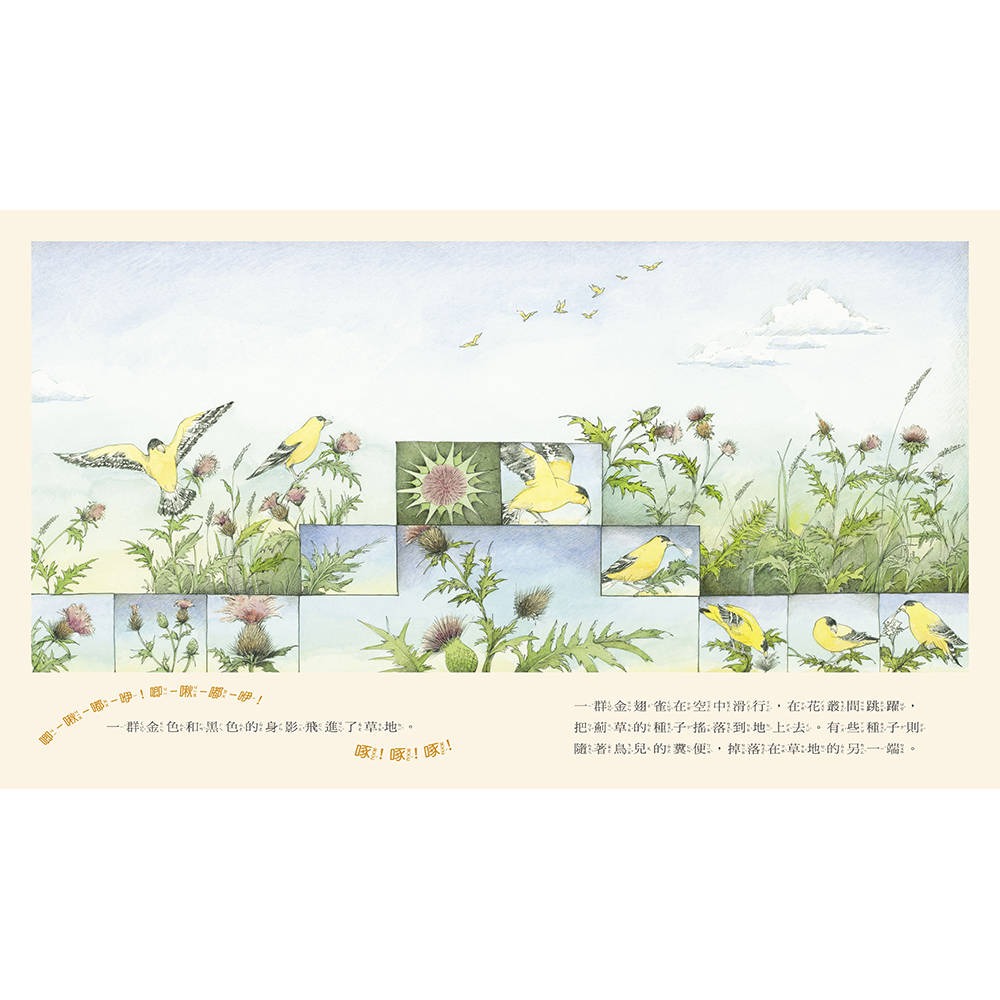 ✨現貨✨《上誼文化公司》野地上的花園⭐️童書團購批發⭐️-細節圖4
