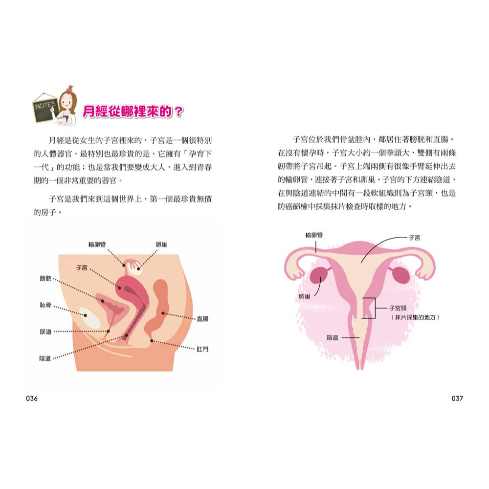 ✨現貨✨《和平國際》青春期女孩身體的祕密．生理心理知識成長書⭐️童書團購批發⭐️-細節圖6