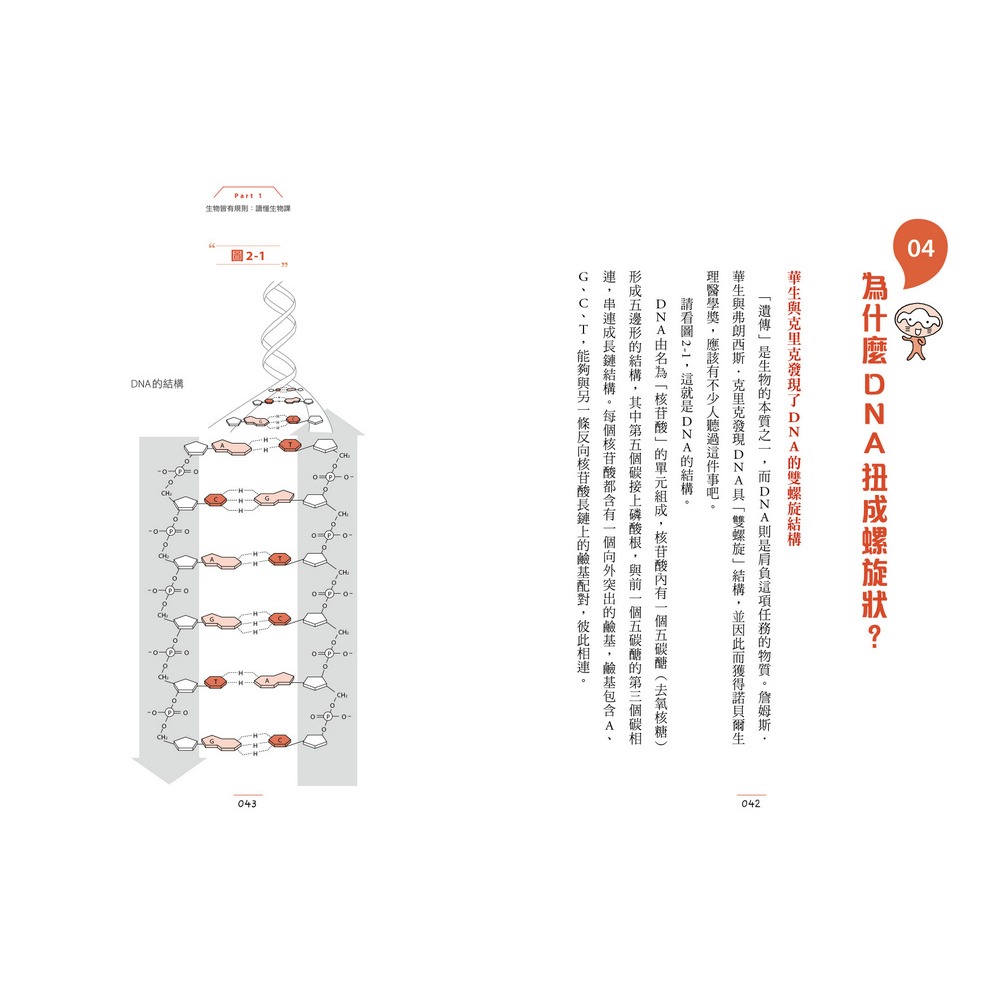 ✨現貨✨《快樂文化》有趣到睡不著的生物學：螞蟻和人工智慧有關？⭐️童書團購批發⭐️-細節圖4