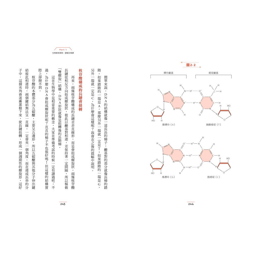 ✨現貨✨《快樂文化》有趣到睡不著的生物學：螞蟻和人工智慧有關？⭐️童書團購批發⭐️-細節圖5