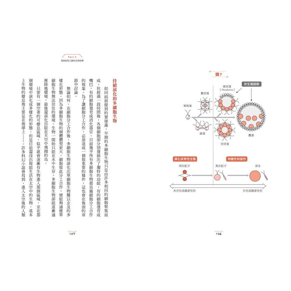 ✨現貨✨《快樂文化》有趣到睡不著的生物學：螞蟻和人工智慧有關？⭐️童書團購批發⭐️-細節圖8