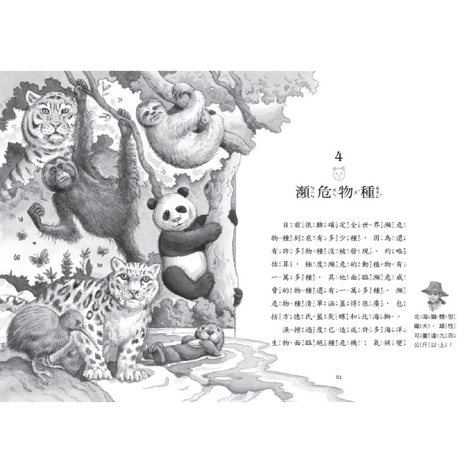 ✨現貨✨《小天下》神奇樹屋小百科20：大貓熊與瀕危物種⭐️童書團購批發⭐️-細節圖5