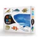 ✨現貨✨《時報出版》海洋動物圖卡⭐️童書團購批發⭐️-規格圖8