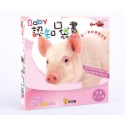 ✨現貨✨《球球館》Baby認知口袋書 （全套12冊）⭐️童書團購批發⭐️-規格圖5