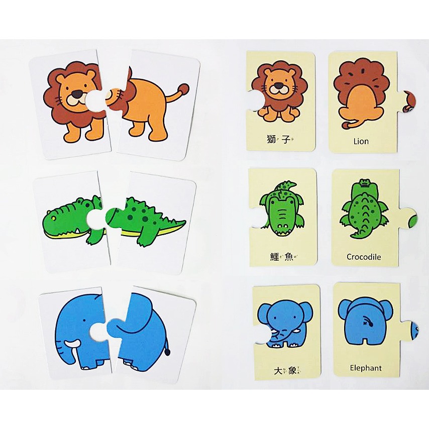 ✨現貨✨《球球館》育智配對圖卡-可愛動物⭐️童書團購批發⭐️-細節圖3