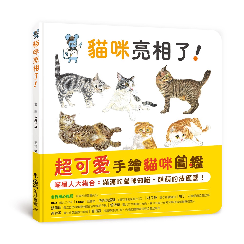 ✨現貨✨《小魯文化》貓咪亮相了！（無書腰）⭐️童書團購批發⭐️-細節圖2