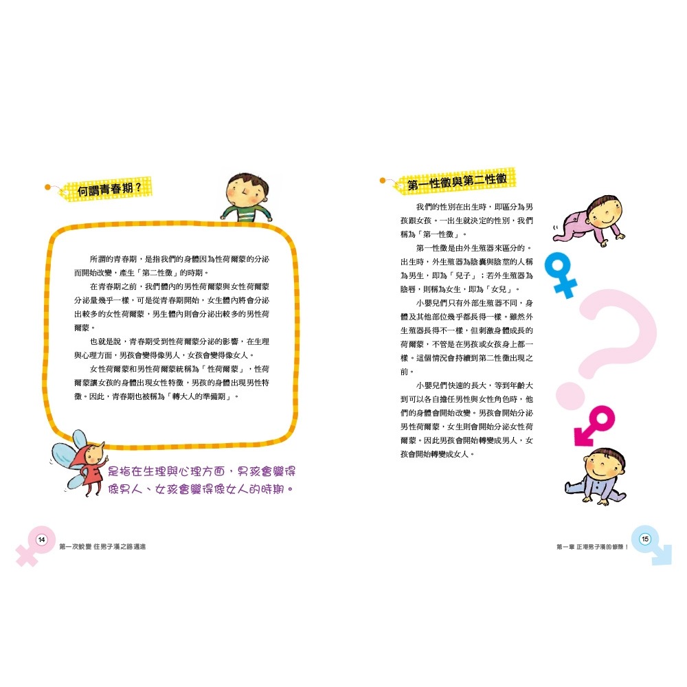 ✨現貨✨《東雨文化》小男生身體的祕密：男生一定要看的正確性知識 (2023年新版)⭐️童書團購批發⭐️-細節圖7