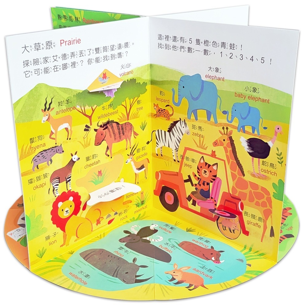 ✨現貨✨《球球館》躲貓貓立體場景遊戲書：動物⭐️童書團購批發⭐️-細節圖2