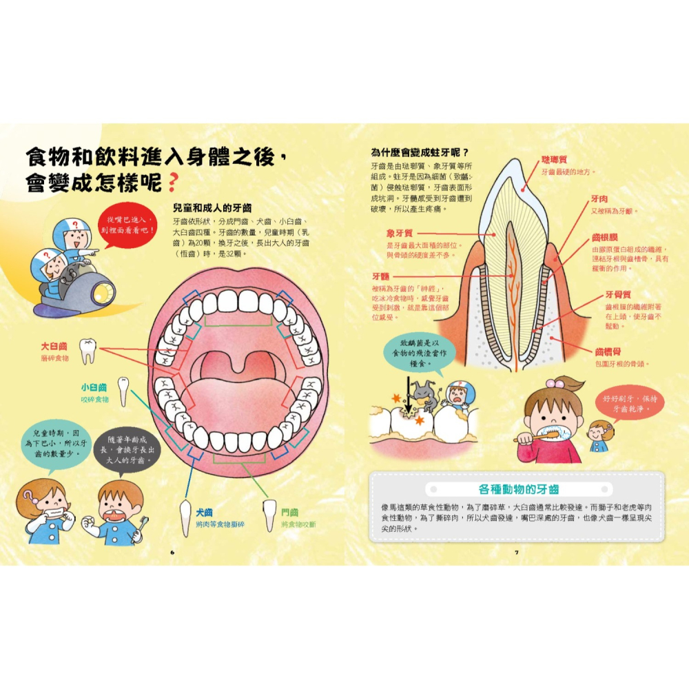 ✨現貨✨《小熊出版》出發吧!人體探險隊：揭開身體消化道、泌尿系統、骨骼肌肉、心臟血管……不可思議的祕密（新版）-細節圖5