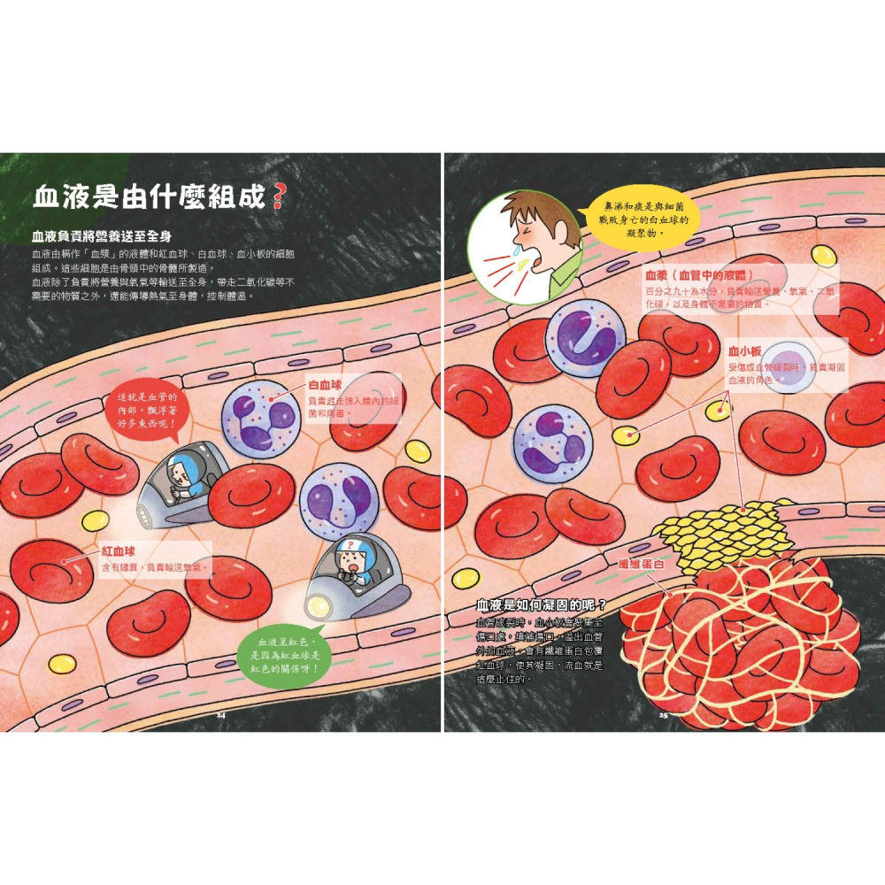 ✨現貨✨《小熊出版》出發吧!人體探險隊：揭開身體消化道、泌尿系統、骨骼肌肉、心臟血管……不可思議的祕密（新版）-細節圖7