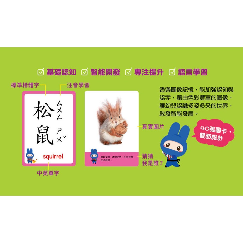 ✨現貨✨《幼福》忍者兔認知學習圖卡：動物世界【40張雙面全彩圖卡+收納鐵盒】⭐️童書團購批發⭐️-細節圖2