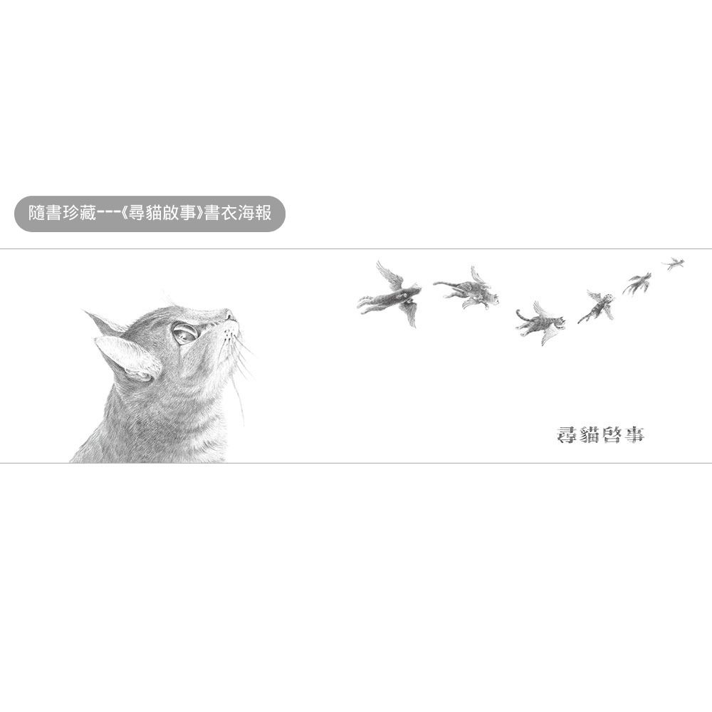 ✨現貨✨《信誼基金出版社》尋貓啟事：10週年珍藏紀念版（限量珍藏書衣海報）⭐️童書團購批發⭐️-細節圖4