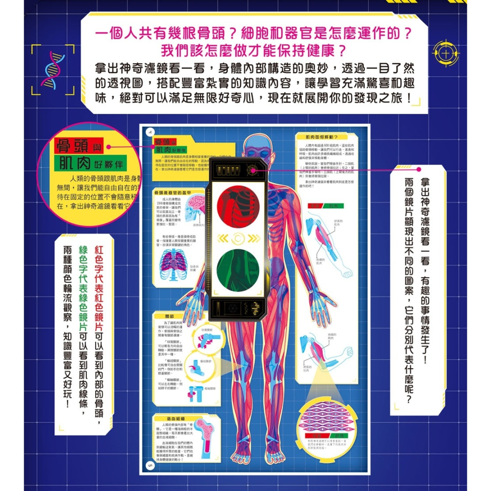 ✨現貨✨《幼福》人體大透視：濾鏡百科遊戲書（內附神奇雙色透視濾鏡，可顯現出不同圖案！）⭐️童書團購批發⭐️-細節圖3