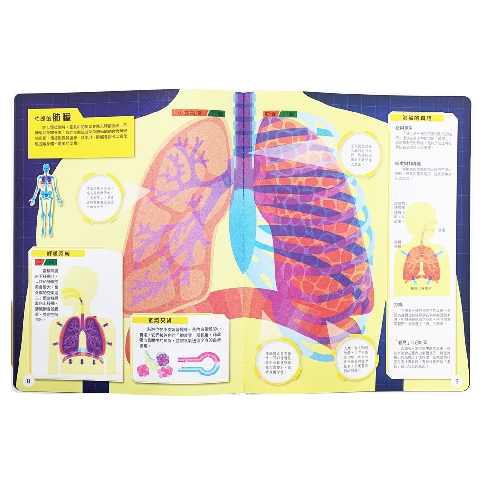 ✨現貨✨《幼福》人體大透視：濾鏡百科遊戲書（內附神奇雙色透視濾鏡，可顯現出不同圖案！）⭐️童書團購批發⭐️-細節圖5