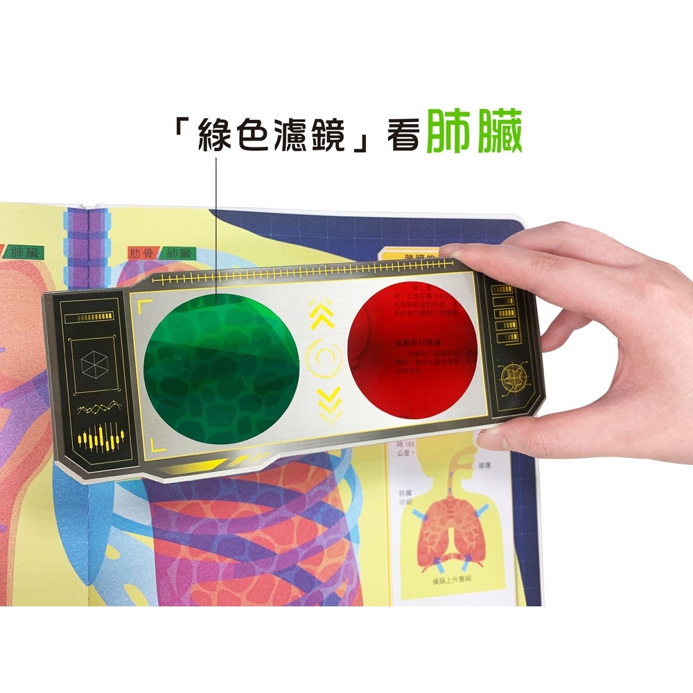 ✨現貨✨《幼福》人體大透視：濾鏡百科遊戲書（內附神奇雙色透視濾鏡，可顯現出不同圖案！）⭐️童書團購批發⭐️-細節圖6