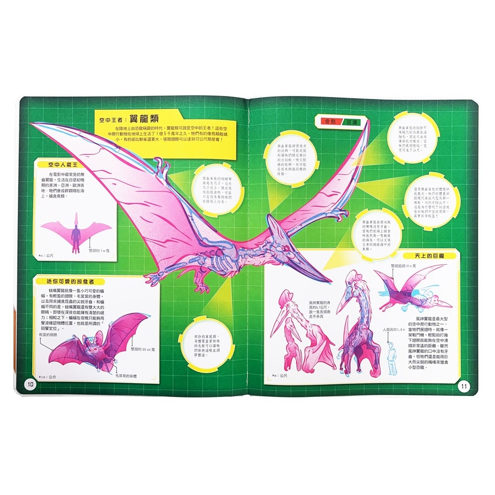 ✨現貨✨《幼福》恐龍大透視：濾鏡百科遊戲書（內附神奇雙色透視濾鏡，可顯現出不同圖案！）⭐️童書團購批發⭐️-細節圖5